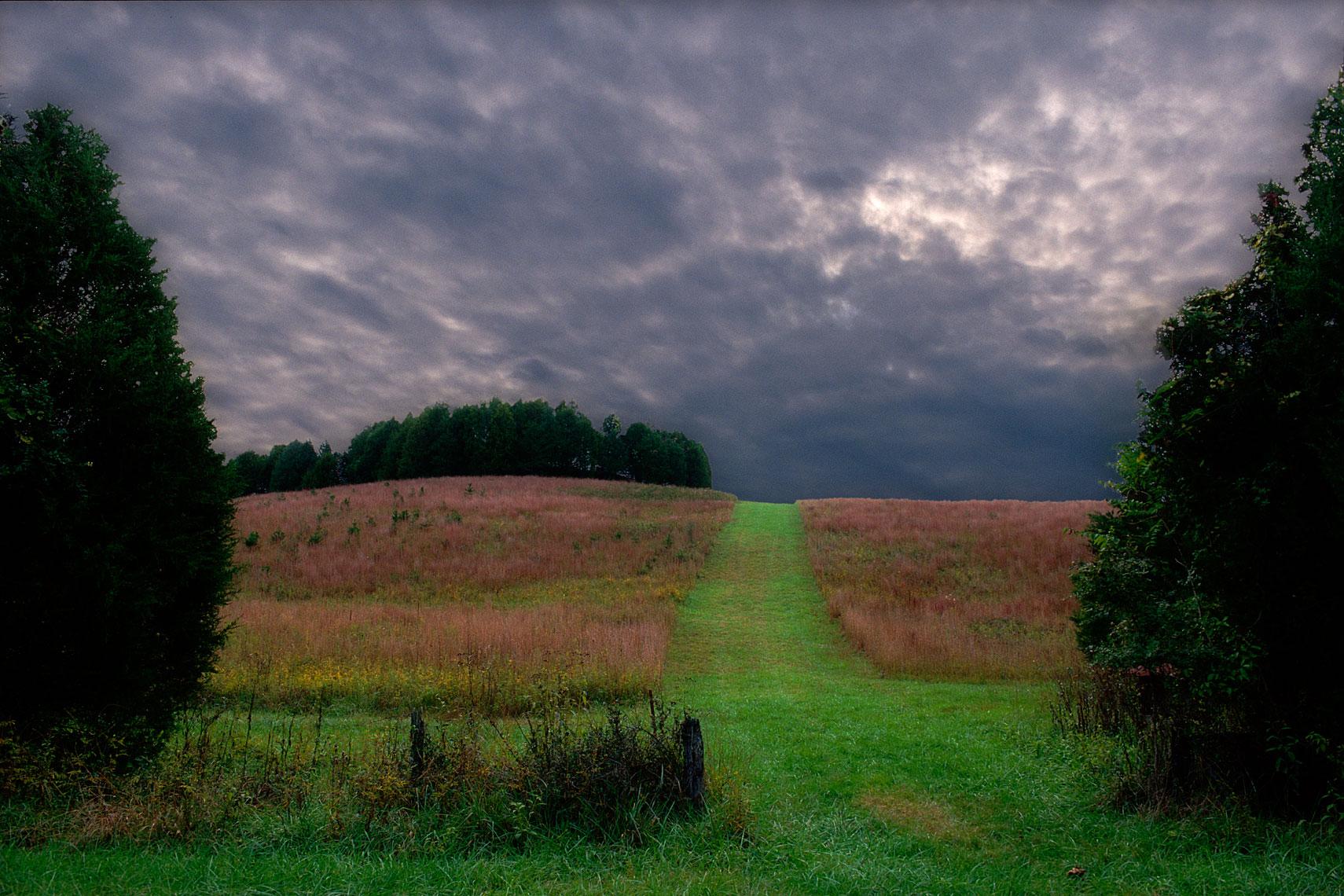 Albemarle13