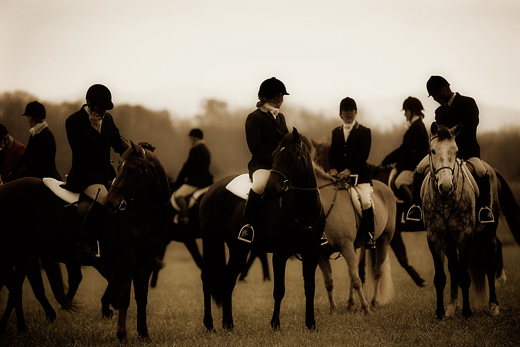 Albemarle21