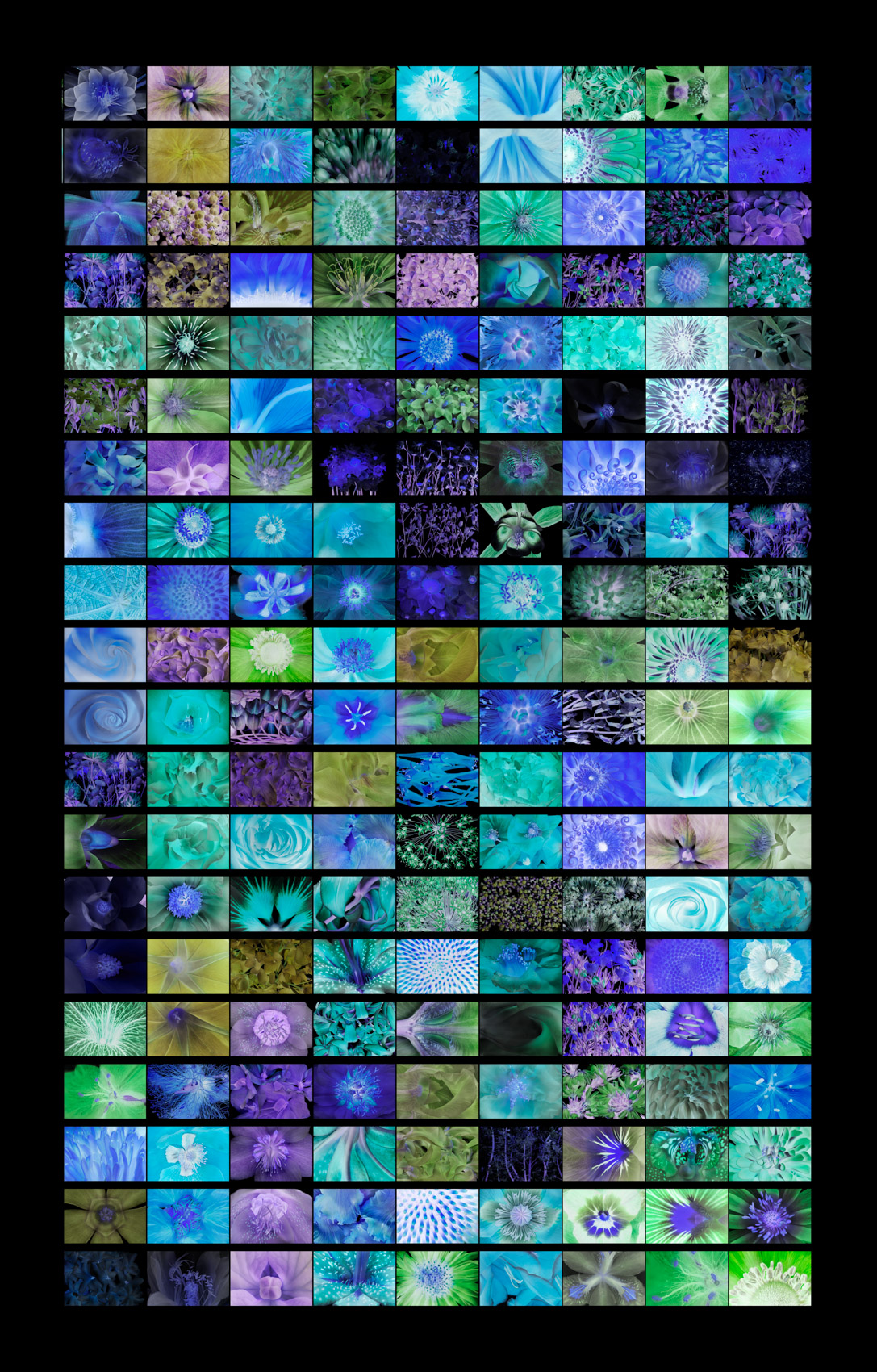 BOTANICALStwo16