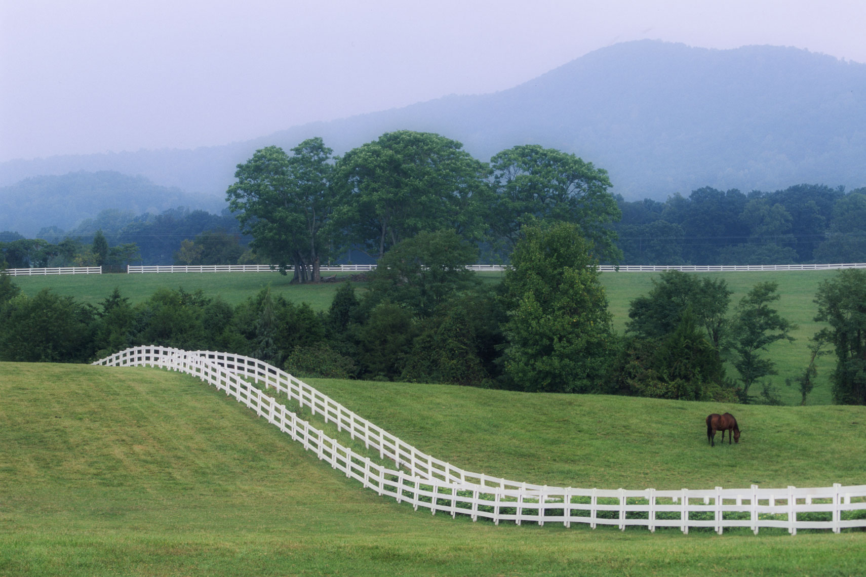 horse-fence